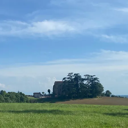 招待所 La Grange De Garac Saint-Christaud (Gers)