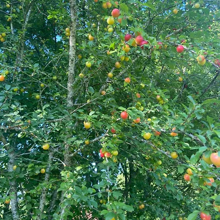 La Grange De Garac Pensjonat 3*