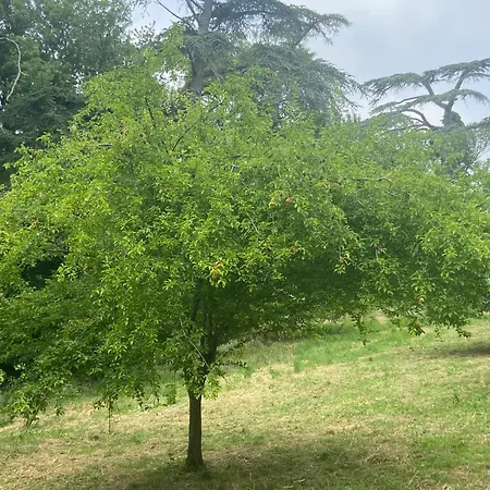 La Grange De Garac Pensjonat