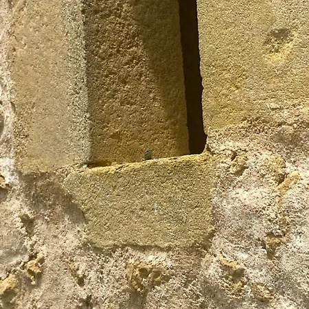 Pensjonat La Grange De Garac Saint-Christaud (Gers)