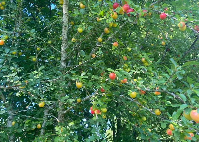 La Grange De Garac 게스트하우스 3*