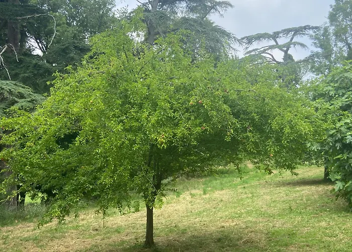 La Grange De Garac 게스트하우스