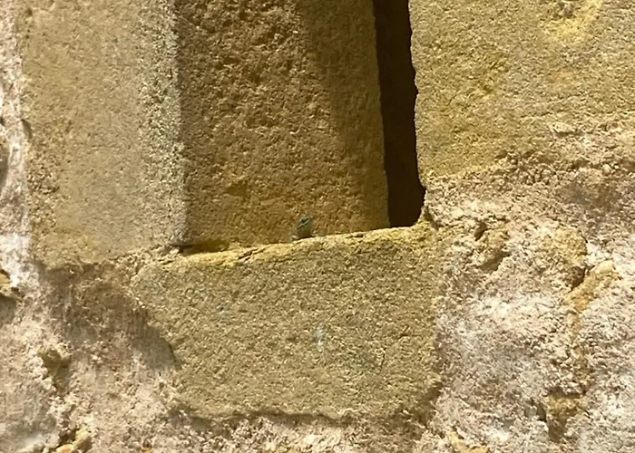 게스트하우스 La Grange De Garac Saint-Christaud (Gers)